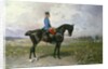 Emperor Franz Joseph I on his Austrian horse, 1898 by Julius von Blaas