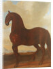 The Bay Stallion at the Eisgruber Stud by Johann Georg Hamilton