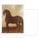 The Bay Stallion at the Eisgruber Stud by Johann Georg Hamilton