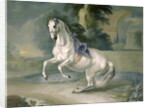 The White Stallion 'Leal' en levade, 1721 by J.G. & Brand J.C. Hamilton