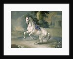 The White Stallion 'Leal' en levade, 1721 by J.G. & Brand J.C. Hamilton