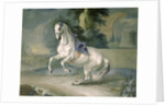 The White Stallion 'Leal' en levade, 1721 by J.G. & Brand J.C. Hamilton