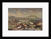 The Imperial Stud with Lipizzaner Horses by Johann Georg Hamilton
