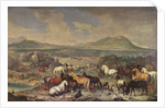 The Imperial Stud with Lipizzaner Horses by Johann Georg Hamilton