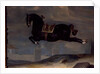The black horse 'Curioso' performing a Capriole by Johann Georg Hamilton