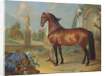 The bay horse' Sincero' by Johann Georg Hamilton