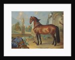 The bay horse' Sincero' by Johann Georg Hamilton