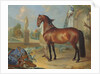 The bay horse' Sincero' by Johann Georg Hamilton