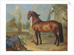 The bay horse' Sincero' by Johann Georg Hamilton
