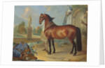 The bay horse' Sincero' by Johann Georg Hamilton