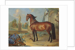 The bay horse' Sincero' by Johann Georg Hamilton