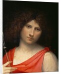 Youth holding an Arrow, c.1505 by Giorgione