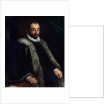 The Bearded Man, c.1580 by Francesco Bassano