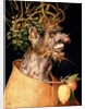 Winter by Giuseppe Arcimboldo