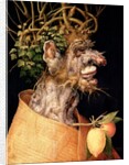 Winter by Giuseppe Arcimboldo
