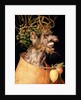 Winter by Giuseppe Arcimboldo