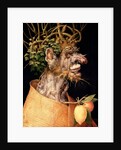 Winter by Giuseppe Arcimboldo