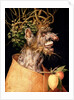 Winter by Giuseppe Arcimboldo