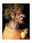 Winter by Giuseppe Arcimboldo