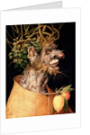 Winter by Giuseppe Arcimboldo
