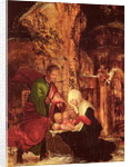 Birth of Christ, c.1520-25, by Albrecht Altdorfer
