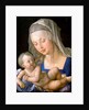 Virgin and child holding a half-eaten pear, 1512 by Albrecht Dürer or Duerer