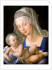 Virgin and child holding a half-eaten pear, 1512 by Albrecht Dürer or Duerer