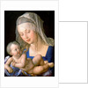 Virgin and child holding a half-eaten pear, 1512 by Albrecht Dürer or Duerer