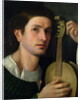 The Lyre, c.1515 by Italian School