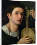 The Lyre, c.1515 by Italian School