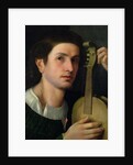 The Lyre, c.1515 by Italian School