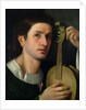 The Lyre, c.1515 by Italian School