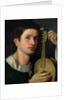 The Lyre, c.1515 by Italian School