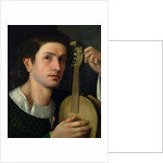 The Lyre, c.1515 by Italian School