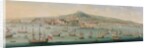 View of Naples by Gaspar Butler