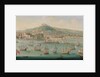 View of Naples by Gaspar Butler