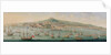 View of Naples by Gaspar Butler