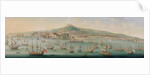 View of Naples by Gaspar Butler