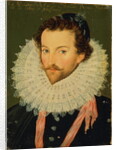 Sir Walter Raleigh by French School