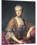 Archduchess Maria Anna Habsburg-Lothringen, called Marianne by Martin van Mytens or Meytens