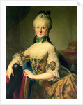 Archduchess Maria Elisabeth Habsburg-Lothringen by Martin van Mytens or Meytens