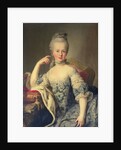 Portrait of Marie-Antoinette, 1767-68 by Martin van Mytens or Meytens