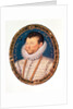 Sir Francis Drake, 1581 by Nicholas Hilliard