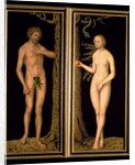 Adam and Eve, 1537 by Lucas the Elder Cranach