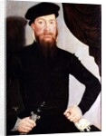 Portrait of a man, 1564 by Lucas the Younger Cranach