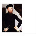 Portrait of a man, 1564 by Lucas the Younger Cranach