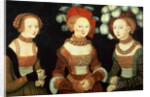 Three princesses of Saxony, Sibylla, Emilia and Sidonia, daughters of Duke Heinrich of Frommen, c.1535 by Lucas the Elder Cranach