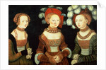 Three princesses of Saxony, Sibylla, Emilia and Sidonia, daughters of Duke Heinrich of Frommen, c.1535 by Lucas the Elder Cranach