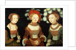 Three princesses of Saxony, Sibylla, Emilia and Sidonia, daughters of Duke Heinrich of Frommen, c.1535 by Lucas the Elder Cranach