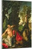 The Penitence of St. Jerome, 1502 by Lucas the Elder Cranach